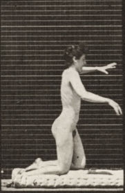 Plate 272 Stumbling and falling on the ground — figure reference